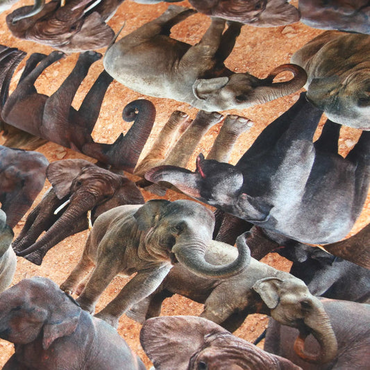 Baumwolljersey mit detailreichem Muster afrikanischer Elefanten auf braunem Hintergrund.