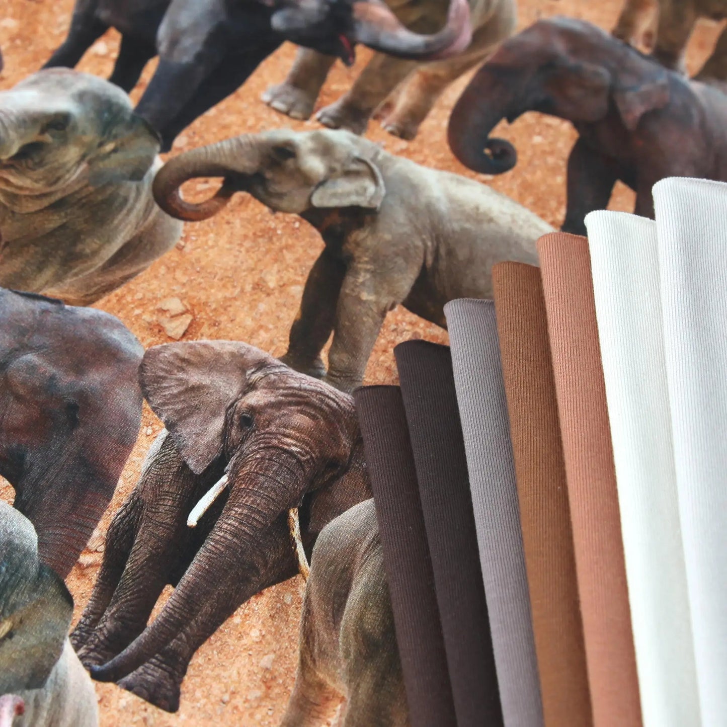 Baumwolljersey "Dinosaurier Stoff Dinos" (Kopie) Stoffe Kudellino