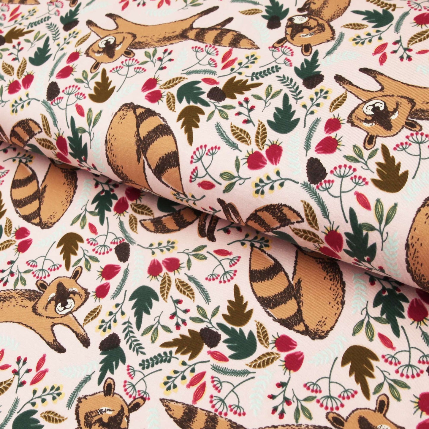 Baumwolljersey "Waschbär auf rosa" - Jersey Stoff mit Waschbären - Stoffe Kudellino - Bündchenstoffe, Jersey Stoffe und mehr...