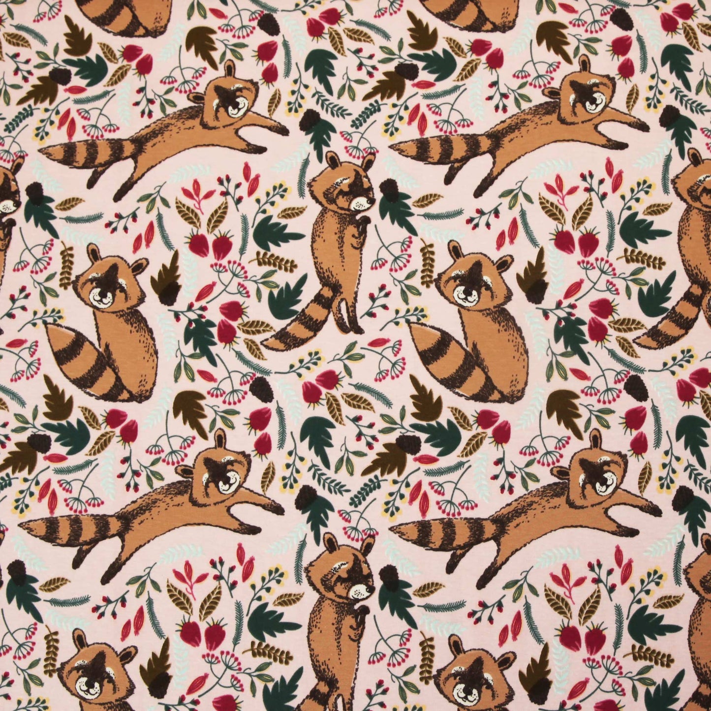 Baumwolljersey "Waschbär auf rosa" - Jersey Stoff mit Waschbären - Stoffe Kudellino - Bündchenstoffe, Jersey Stoffe und mehr...